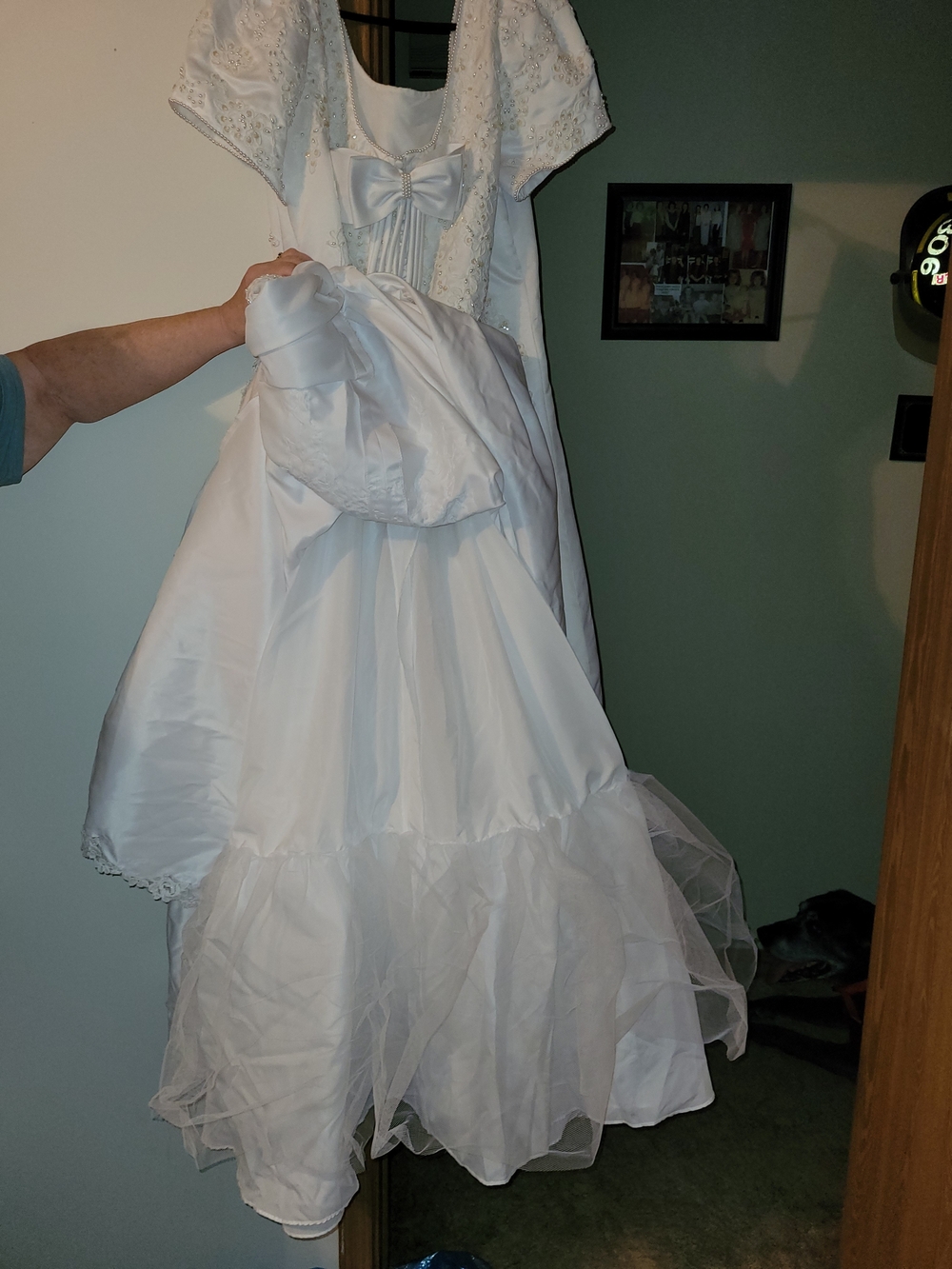 Alfred Angelo White Lace-Embroidered Short Sleeve Ball Gown - Picture 15 of 16